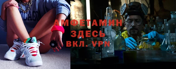 ГАЛЛЮЦИНОГЕННЫЕ ГРИБЫ Горняк