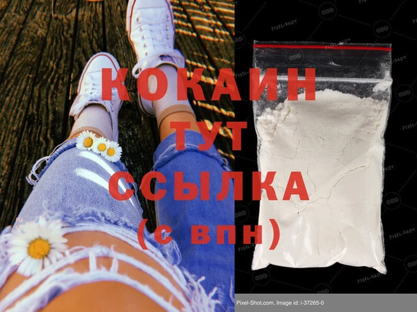 ГАЛЛЮЦИНОГЕННЫЕ ГРИБЫ Горняк