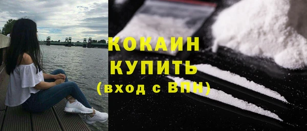 ГАЛЛЮЦИНОГЕННЫЕ ГРИБЫ Горняк