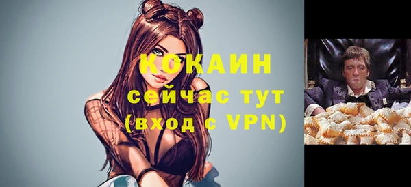ГАЛЛЮЦИНОГЕННЫЕ ГРИБЫ Горняк