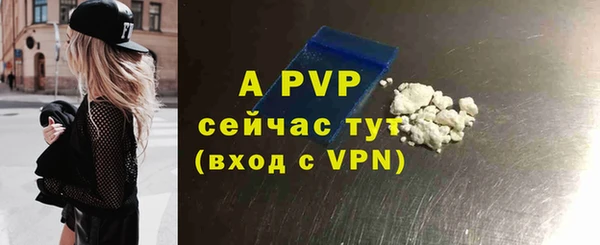 ГАЛЛЮЦИНОГЕННЫЕ ГРИБЫ Горняк