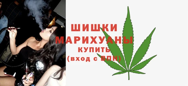 сатива Горнозаводск