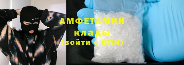ГАЛЛЮЦИНОГЕННЫЕ ГРИБЫ Горняк