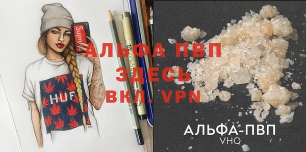 mdpv Горно-Алтайск