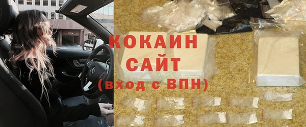 ешки Гусев