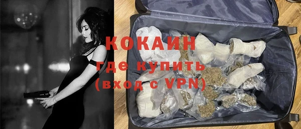 сатива Горнозаводск