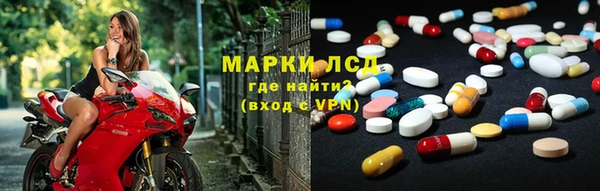сатива Горнозаводск