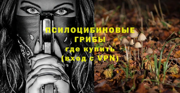 mdpv Горно-Алтайск